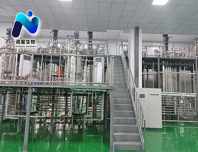 代糖發酵罐（100L-1000L-10KL)